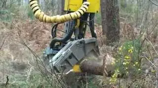 T&ecirc;te d'abattage Sifor 450 r&eacute;sineux