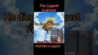 CHEEMS DOG #Rip Cheems#facts #shortfeed #ytshorts