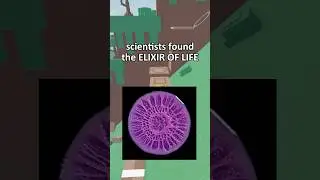 The Elixir of Life has been FOUND&hellip;😱#roblox #entertainment #relatable #viral #shorts