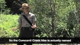 Curecanti Creek Trail