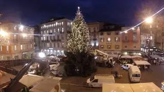 Addobbo dell'albero di Natale in Piazza Riforma