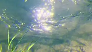 Brian Edward- me (Visualizer)