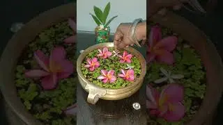 Urli decoration ideas #urlidecorationideas #urli #flowerarrangement