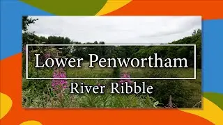 Galloway's Get Active Audio described Walk - Lower Penwortham and the River Ribble