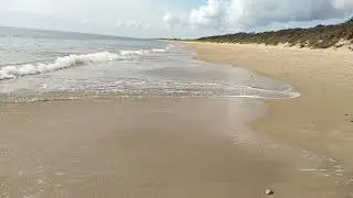 Last days of summer (video haiga)