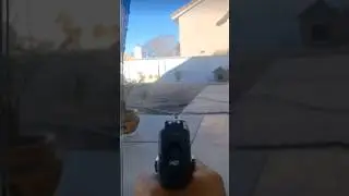 XDE .177 co2 Springfield #video #shortvideo #viral #viralvideo #pistol #youtubeshorts #co2