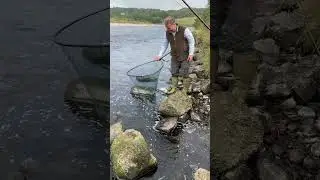 Salmon Fishing River Dee Sep 2022 Tilbouries