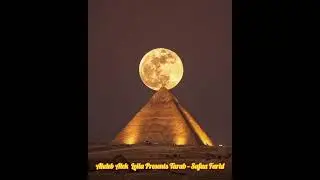 Akdeb Alek  Leila Presents Tarab - Safaa Farid #bellydance #egypt 
