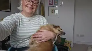 Sewing Room Tour @sewingseamsandsausagedogdreams