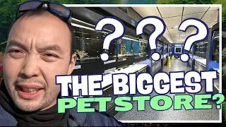 Explore The Biggest Local Pet Store In Lancaster Pa: That Fish Place - That Pet Place Tour Vlog