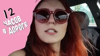 Галопом по геймстопам! 12 часов в дороге ЗА ФИГУРКАМИ | FUNKO HUNTING VLOG