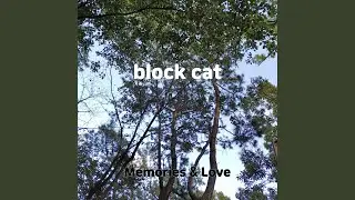 block cat