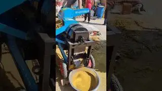 peanut shelling machine can #peanutshellingmachine #newpeanutshellingmachine #shorts #shortsfeed