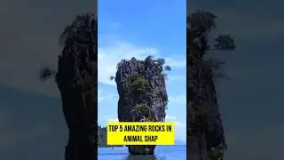 Top5 amazing rocks in the world | animal shape rocks in the world #5facts