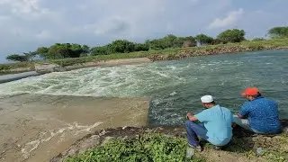 Incredble Fish Catching in Big Canal|Catching baam&tilapia&maral fishes To Catch With Small hook