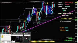 Dsbot v.0.13 pro,memang mantul,trading dibinomo...
