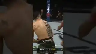 Moreno Excuse me bruh 🫠😉 #ufc #fight #excusemebrah #mma #moreno #excusemebruh #danawhite