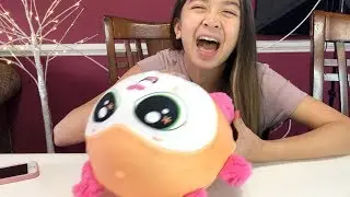 Isabelle Unboxes Wubble Fuzzy Bee Bee The Cat
