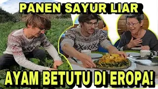 AYAM BETUTU BALI BIKIN MERTUA NAMBAH BERKALI-KALI
