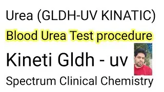 urea test | urea test spectrum reagent | GLDH uv KINATIC | blood urea test