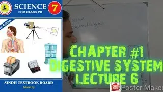 disorder of digestive system | chapter 1 |. Organ system | class 7th | Sindh text book | in urdu
