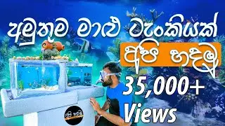 How to make a fish tank from Styrofoam boxes(Sinhala)