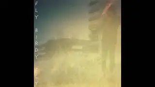Thom Southern - Fly Birdy Fly (Official Audio)