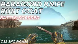 Paracord Knife Rust Coat (Battle-Scarred) | CS2 Skin Showcase #1749
