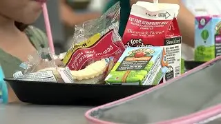 USDA halts two food programs impacting local food access for schools, food banks