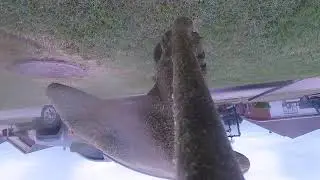 POV - Mow, Trim, & Blow - GoPro Lawn Mowing in Fort Smith, AR (Local Lawn Service)