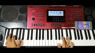 SOLO WHATS IS LOVE EM PISEIRO NO (CASIO CTK 6250 SEM SAMPLE)