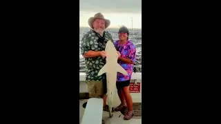 Shark Fishing. Calabash, N.C.