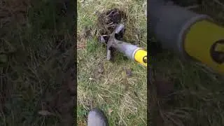 Bounty Hunter Junior metal detector gets a 👍