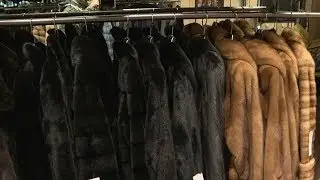 Proposed fur ban chills epicenter of US industry