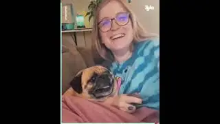 #Dramatic cats & dogs  funny vedios 😂🤣😛