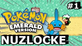 NUZLOCKE GO!!! - Pokemon Emerald Nuzlocke 1