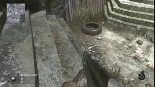 real bo1 zoo bounce