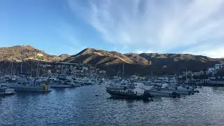 Catalina 2018!!