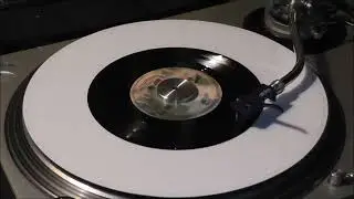 America - Daisy Jane  - 45RPM