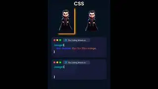 Box Vs drop shadow by using CSS code for beginners #shorts #coding #shadowidea