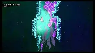 Celeste Reflection IL Speedrun In 9:22.479