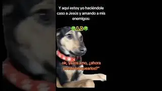 &ldquo;C&oacute;mo sobrevivir al mundo moderno sin perder la paz