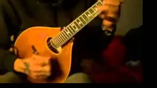 Weber Mandolin: The Brown Coffin