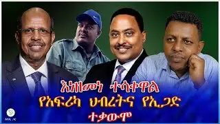 እነዘመነ ተሳቀዋል : የአፍሪካ ህብረትና የኢጋድ ተቃውሞ