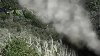 Wildland Simulation by Digital Combustion