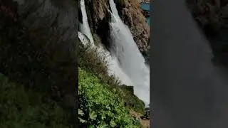 3924 50267