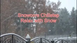 Snowcore Chillstep Lo-Fi Music for Work, Homework, Study or Relaxing