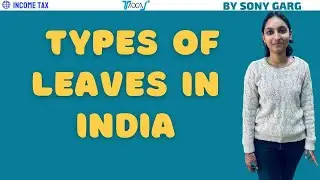Types of Leaves in India Guide to Corporate Leave Policies | How Many Leaves Can I Take in a Company