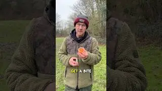 ЛУЧШИЕ СОВЕТЫ по зимней ловле карпа от Яна Рассела! 🎣🔥 #рыбалка #базыкарпа #onemorecast #карпфишинг
