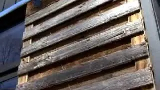 Green Homes:The Green Beginnings Video (An Educational Eco-documentary) (Trailer 5:50 min.)
